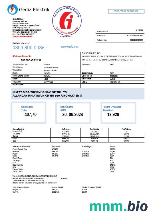 Turcja Gediz Elektrik rachunek za usługi komunalne szablon w formacie Word i PDF, w pełni edytowalne